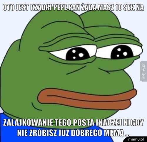 Oto jest Rzadki pepe pan żaba masz 10 sek na zalajkowanie tego posta inaczej nigdy nie zrobisz juz dobrego m