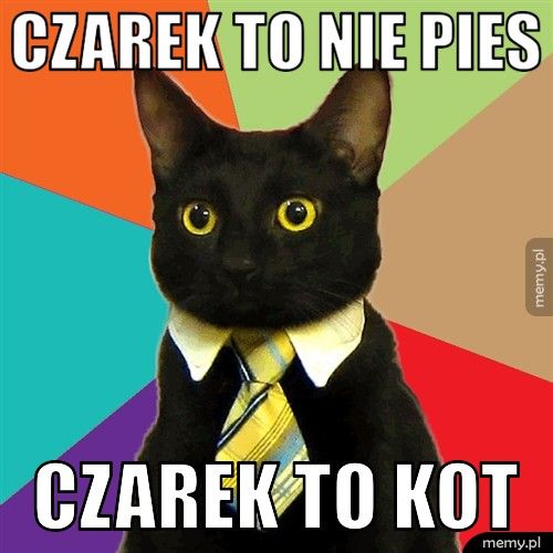 Czarek to nie pies Czarek to kot