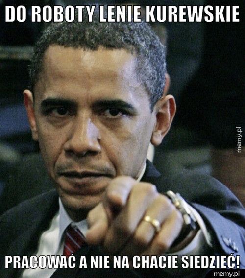 DO ROBOTY LENIE KUREWSKIE PRACOWAĆ A NIE NA CHACIE SIEDZIEĆ! 