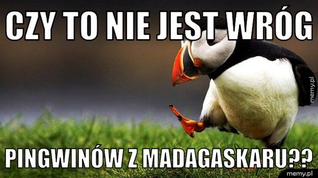 Czy to nie jest wróg  pingwinów z madagaskaru??