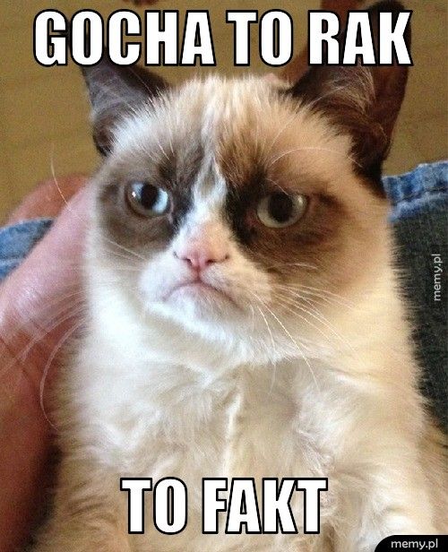 gocha to rak to fakt