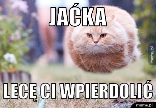 jaćka lecę ci wpierdolić