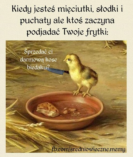 Nie ma żartów - Memy.pl