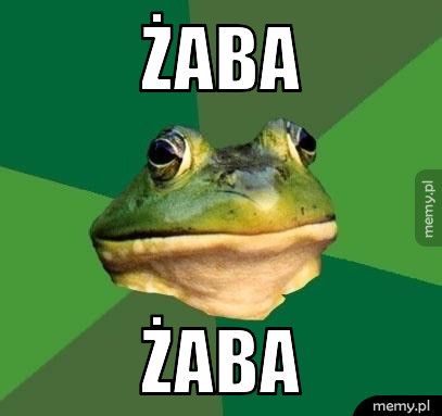 Żaba Żaba