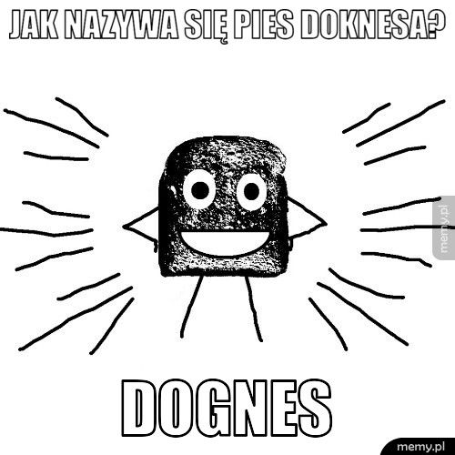 Jak nazywa się pies doknesa? DOGnes