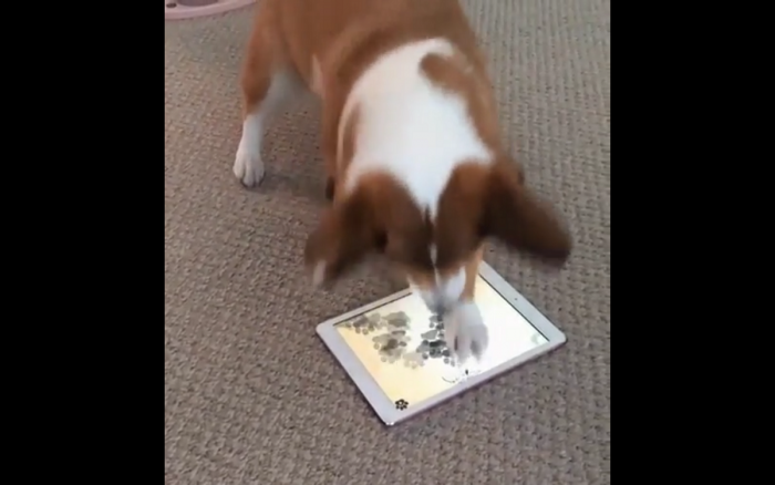 Co tu  się wyprawia