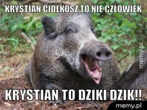 Krystian Ciołkosz to nie człowiek Krystian to dziki dzik!!