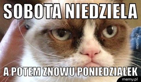 sobota niedziela a potem znowu poniedziałek