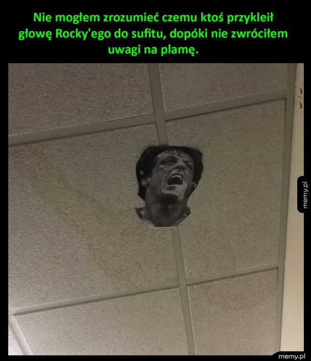 Głowa Rocky'ego przyklejona do sufitu