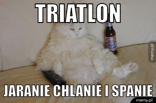 triatlon  jaranie chlanie i spanie 