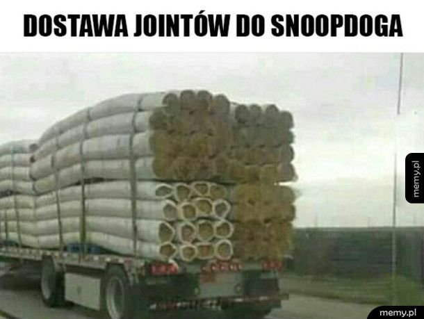 Dostawa do Snoopa