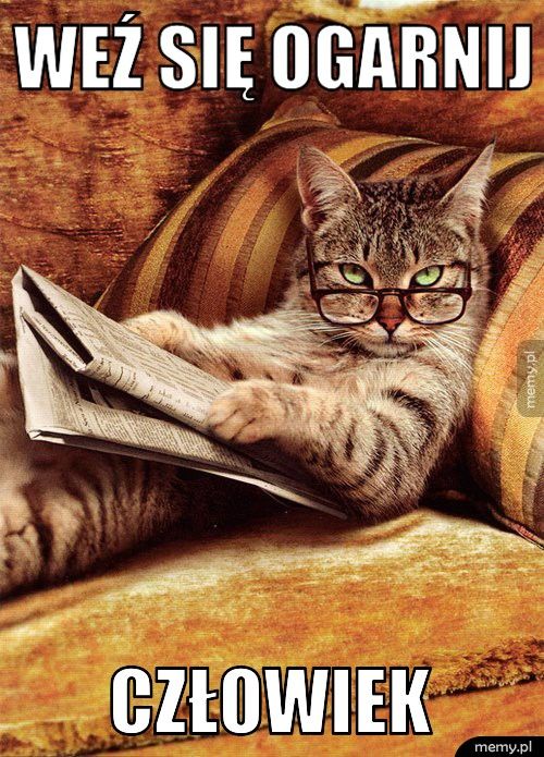weź się ogarnij człowiek