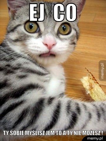 ej  co TY SOBIE MYŚLISZ JEM TO A TY NIE MOŻESZ !