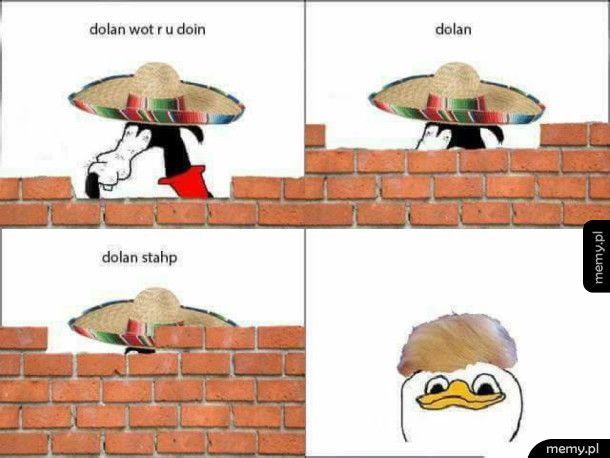 Dolan pls
