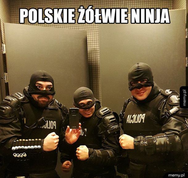 Polskie żółwie ninja