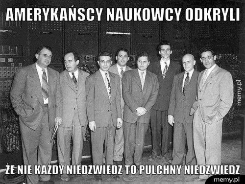 Amerykańscy naukowcy odkryli że nie każdy niedzwiedz to Pulchny niedzwiedz