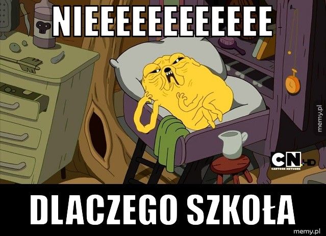 NIEEEEEEEEEEEE DLACZEGO SZKOŁA