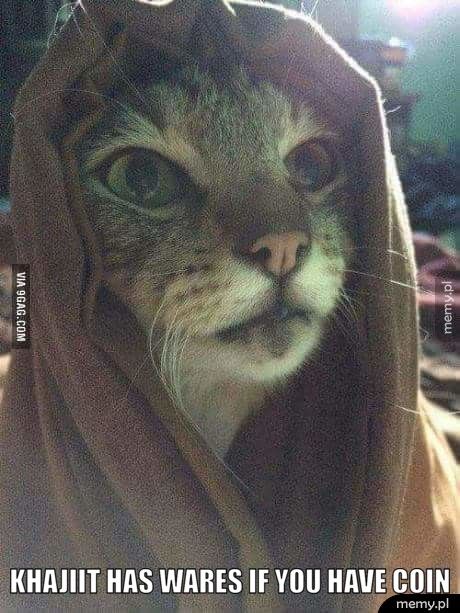  Khajiit has wares if you have coin