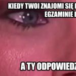 Kiedy twoi znajomi się kłócą po egzaminie