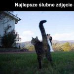 Miłość? Nakarm mnie!