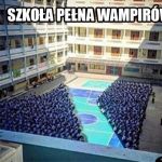 Szkoła wampir&oacute;w