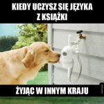 Zbyt dużo wiedzy