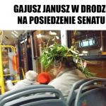 Rzymski polityk