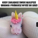 Nie mogą wiedzieć kim jestem