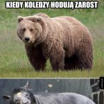 Tak to wygląda