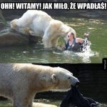 Dobry ziomek miś
