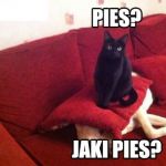 Pies?