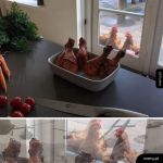 Wspomnienia z Vietnamu