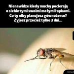 Muchy