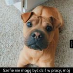 Za słodko