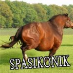 Spasikonik