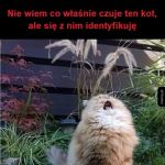 Tak bardzo rozumiem