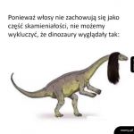 Mam nadzieję, że tak wyglądały