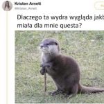 Musisz ocalić wydrze kr&oacute;lestwo
