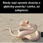 Wąż