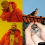 Lepszy wr&oacute;bel w garści