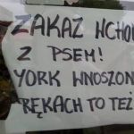 Zakaz