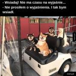 Piesełomobil