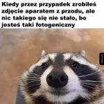 Fotogeniczność
