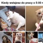 Droga przez mękę.