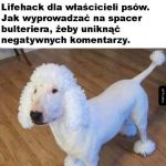 Już się nie będą bać