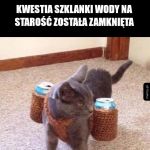 Dziękuję, dobranoc.