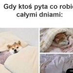 Tak jest
