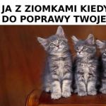 Ziomki