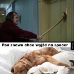 Pan chce na spacer