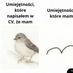 Troszkę skłamałem